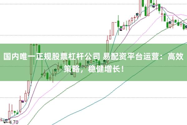国内唯一正规股票杠杆公司 易配资平台运营：高效策略，稳健增长！