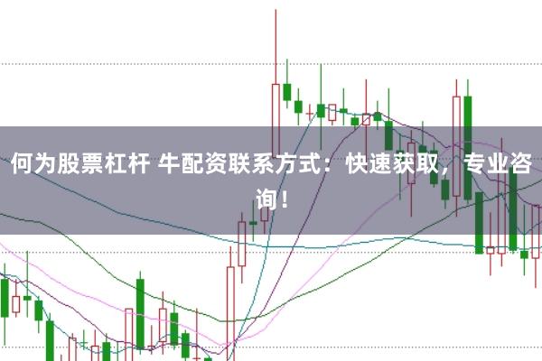 何为股票杠杆 牛配资联系方式：快速获取，专业咨询！