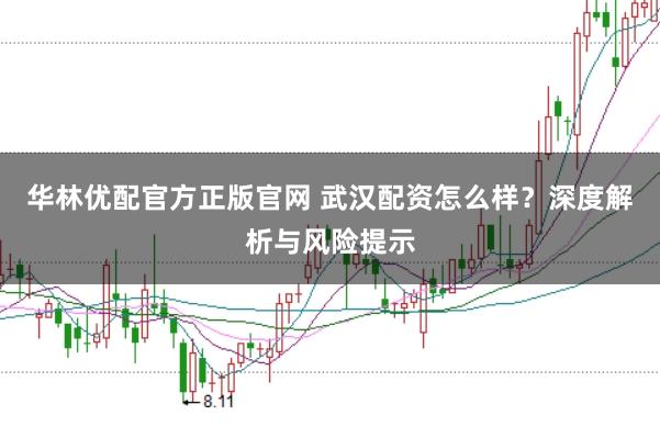 华林优配官方正版官网 武汉配资怎么样？深度解析与风险提示