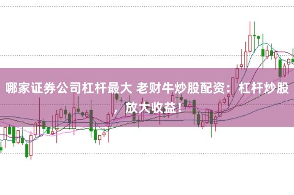 哪家证券公司杠杆最大 老财牛炒股配资:杠杆炒股,放大收益!