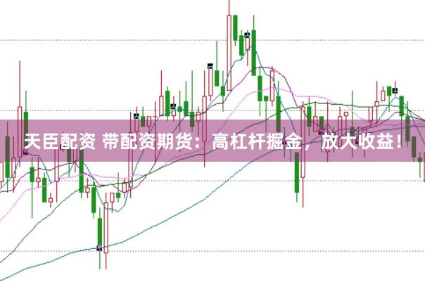 天臣配资 带配资期货：高杠杆掘金，放大收益！