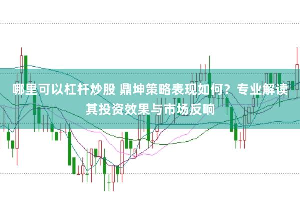 哪里可以杠杆炒股 鼎坤策略表现如何?专业解读其投资效果与市场反响