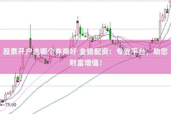 股票开户选哪个券商好 金猪配资：专业平台，<a href=