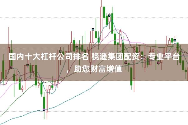 国内十大杠杆公司排名 骁遥集团配资:专业平台,助您财富增值