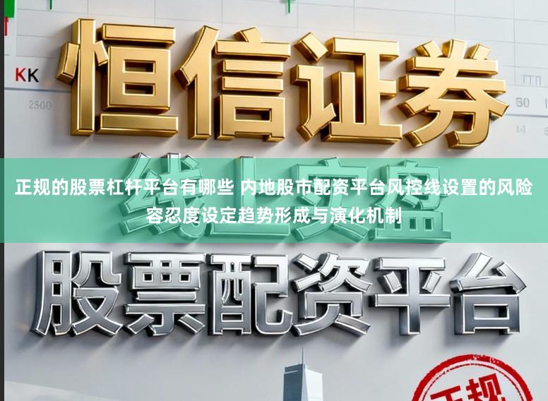正规的股票杠杆平台有哪些 内地股市配资平台风控线设置的风险容忍度设定趋势形成与演化机制